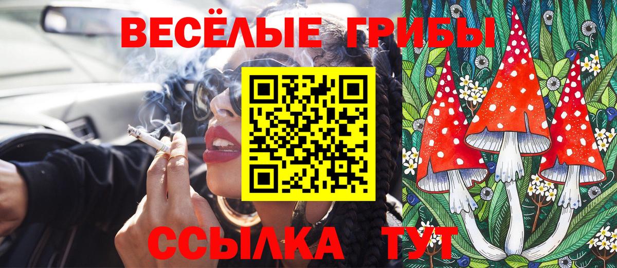 Псилоцибиновые грибы Cubensis  где найти наркотики  Кизляр  Галлюциногенные грибы GOLDEN TEACHER  Вход с VPN 